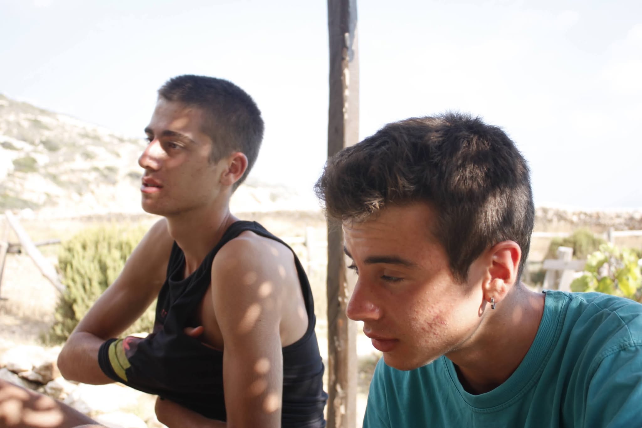 Biggest Chickens Ever